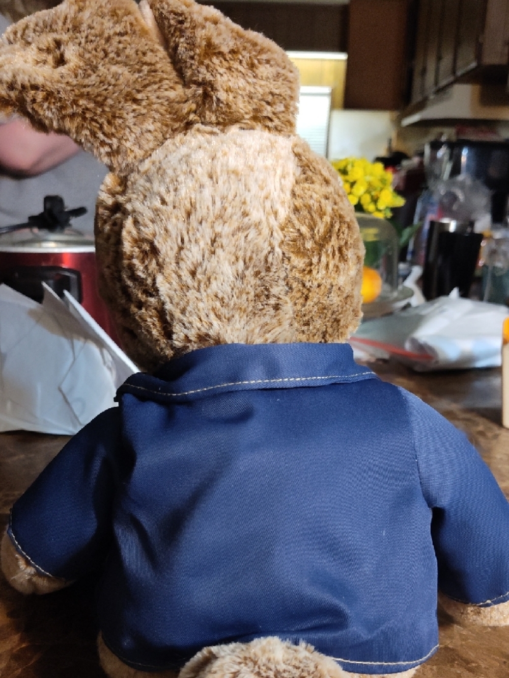 Peter Rabbit 2019 Plush - Picture 4 of 5